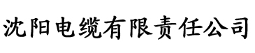 91香蕉视频s电缆厂logo